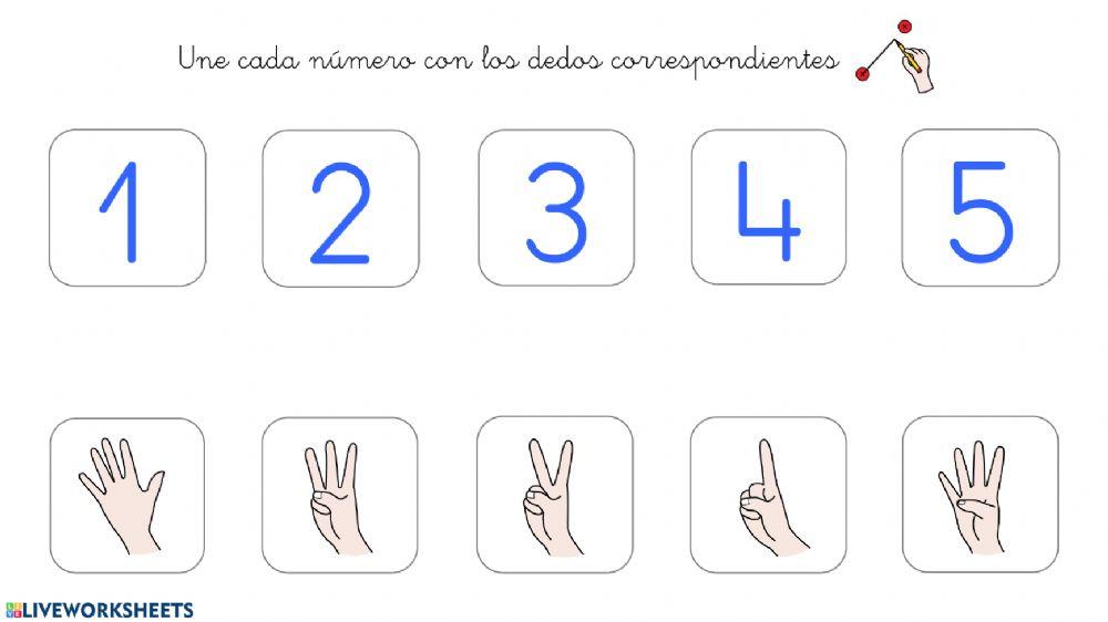 Asociar número y dedos 1-10