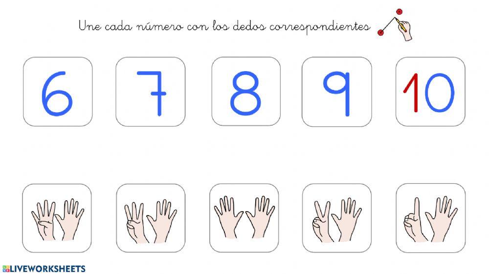 Asociar número y dedos 1-10