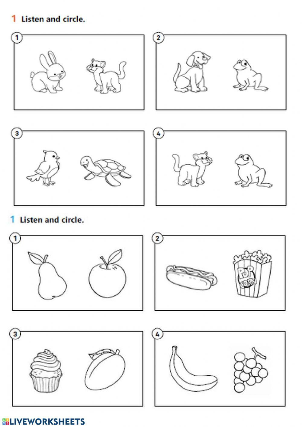 VERIFICA animali e cibi