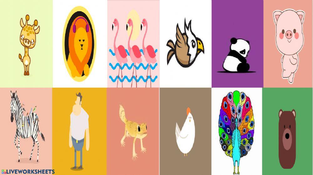 L'alimentazione degli animali