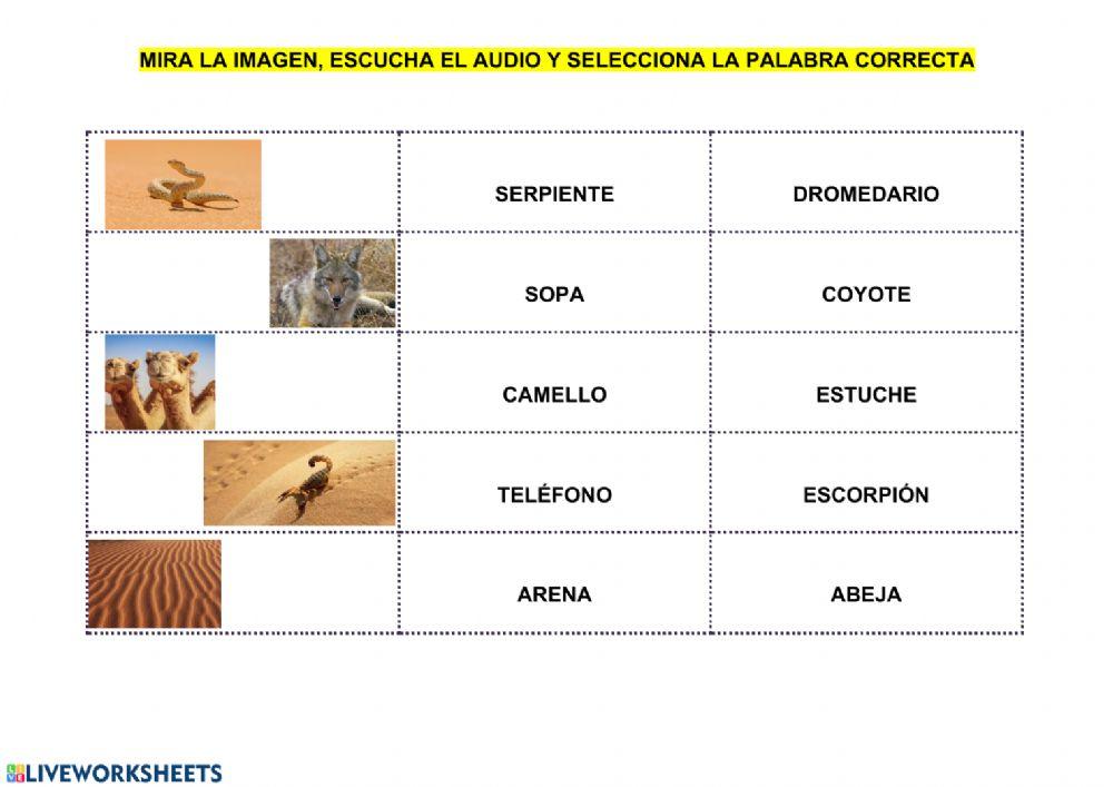 Elige la palabra correcta