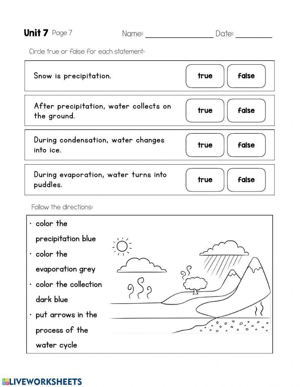SCI-Wednesday (water cycle day 2)