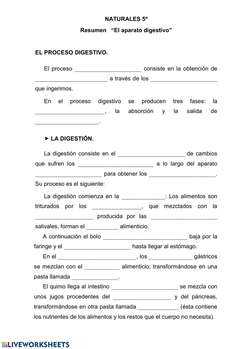 El proceso digestivo