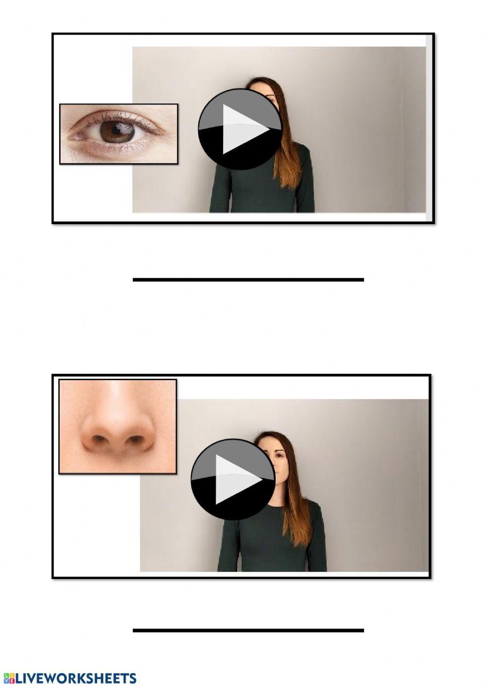 Kontzientzia fonologikoa 1