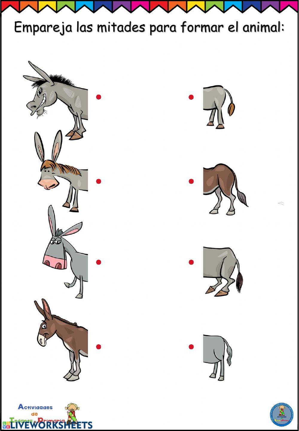 Ficha concentración animales