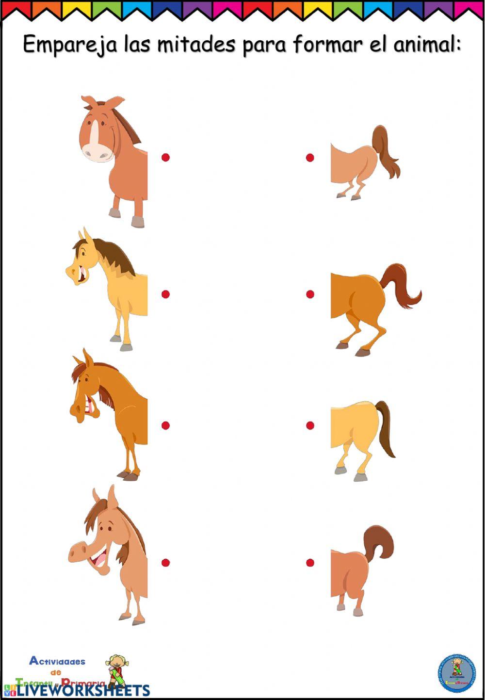 Ficha concentración animales