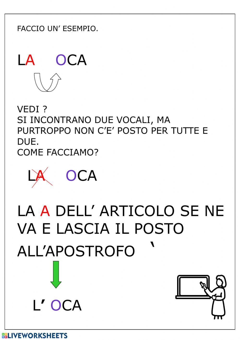 Articoli e apostrofo Articoli e apostrofo
