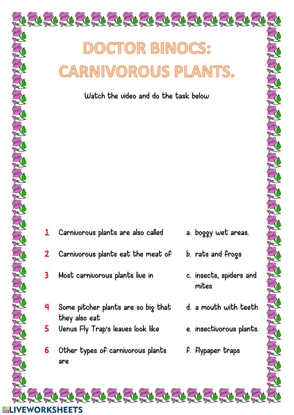Doctor binocs: carnivorous plants