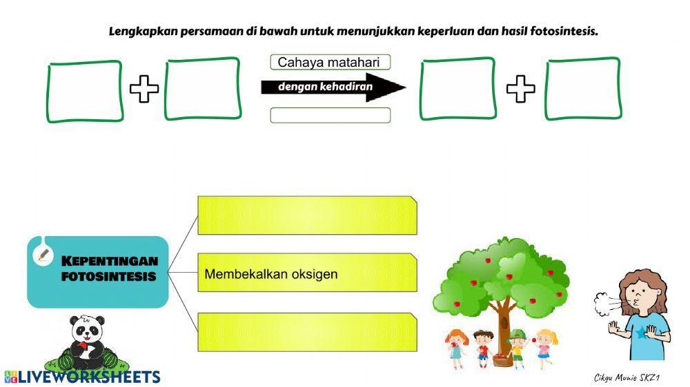 Latihan sains tahun 4-fotosintesis
