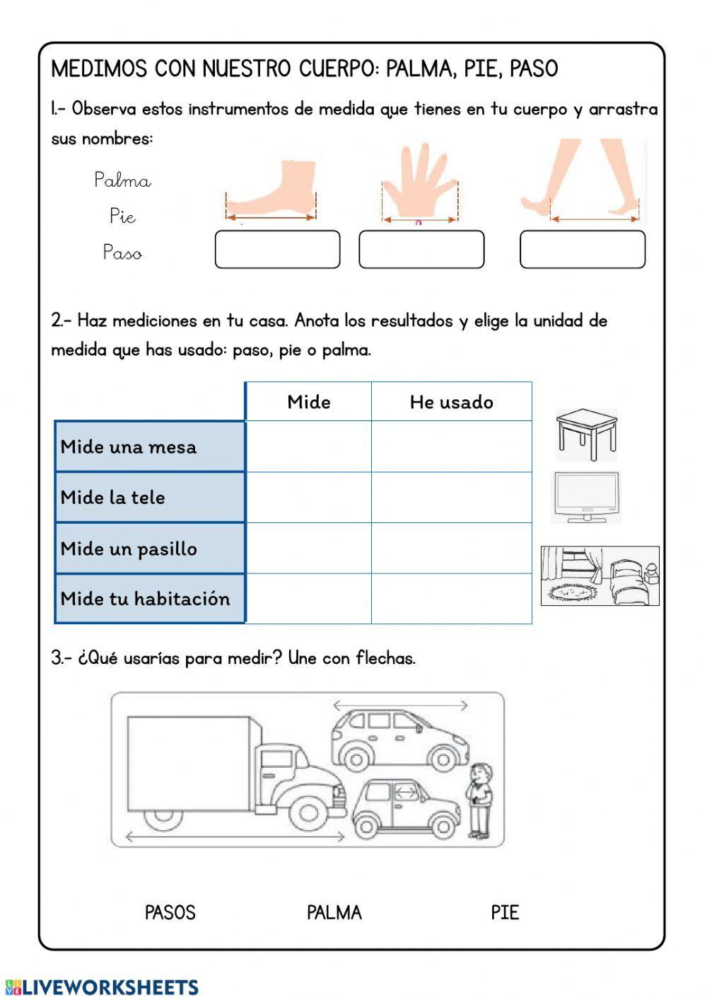 Medidas corporales palma, pie, paso