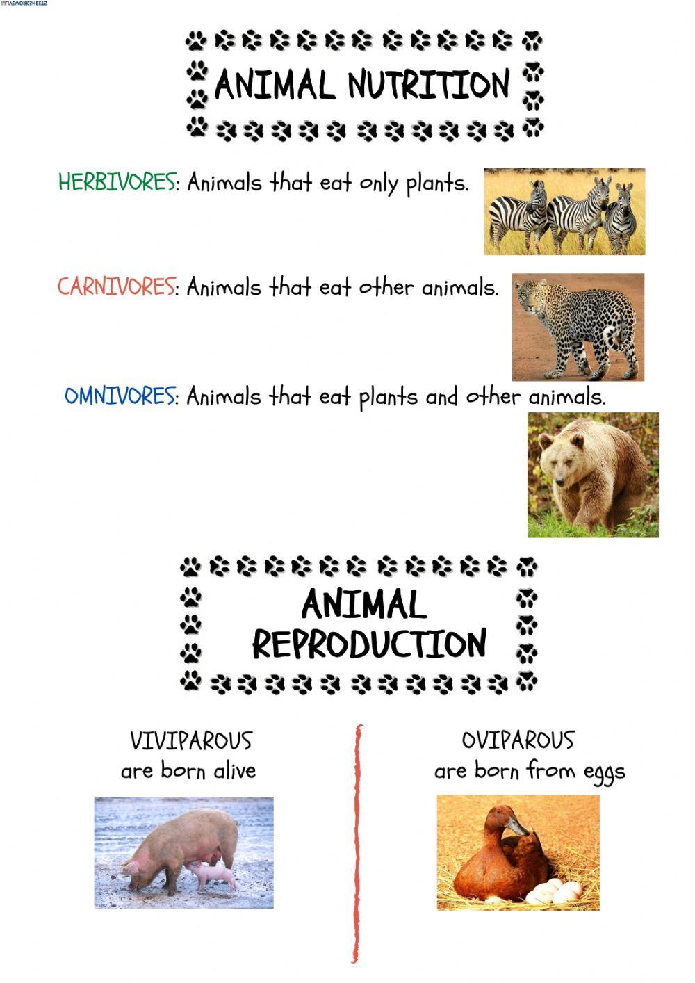 Animals: Nutritiona and reproduction