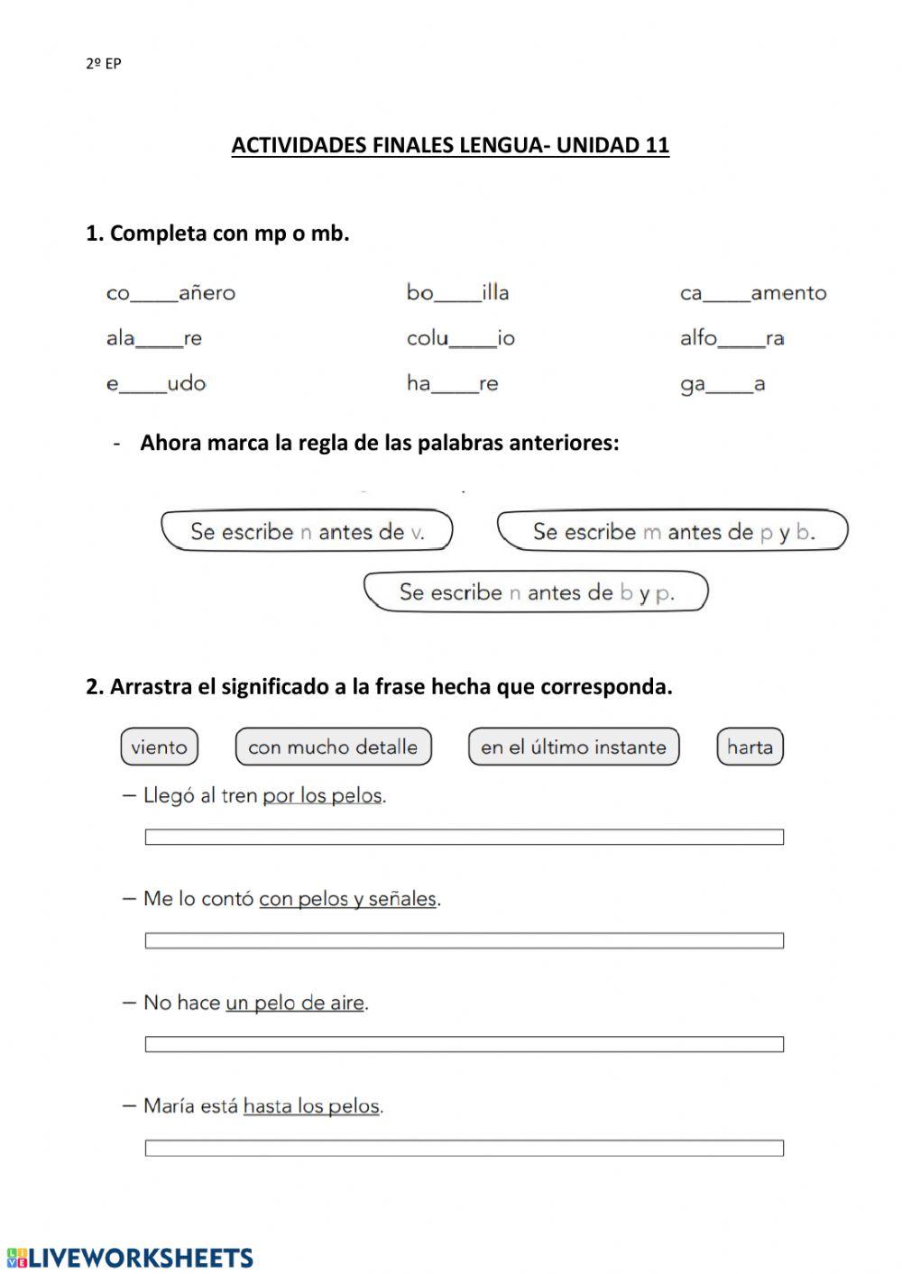 Actividades finales Lengua 2º- U.11