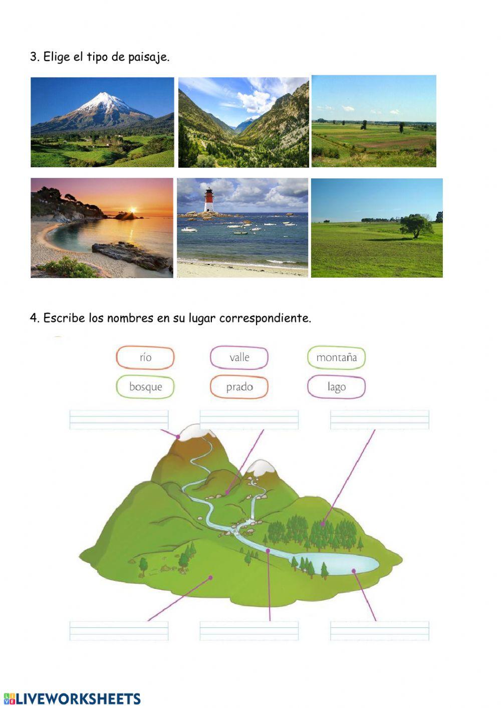 Repaso sociales tema 5