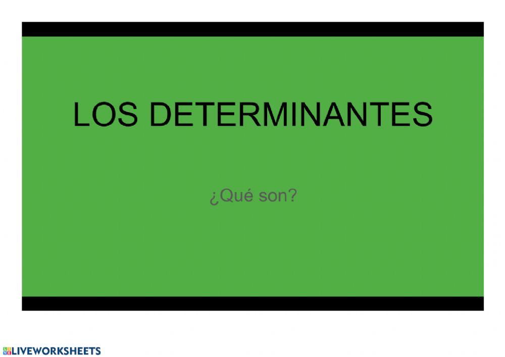 Los determinantes