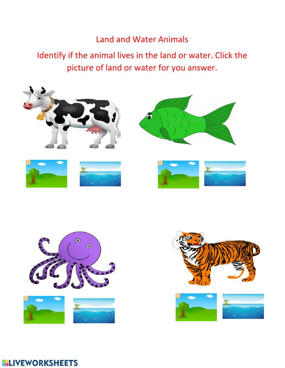 Different Places Animals Can Live Different Places Animals Can Live