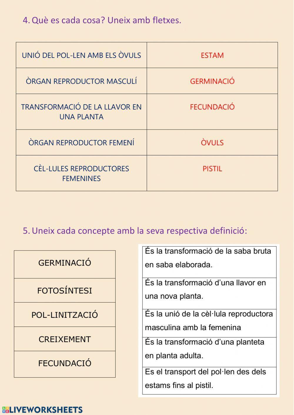 La reproducció de les plantes