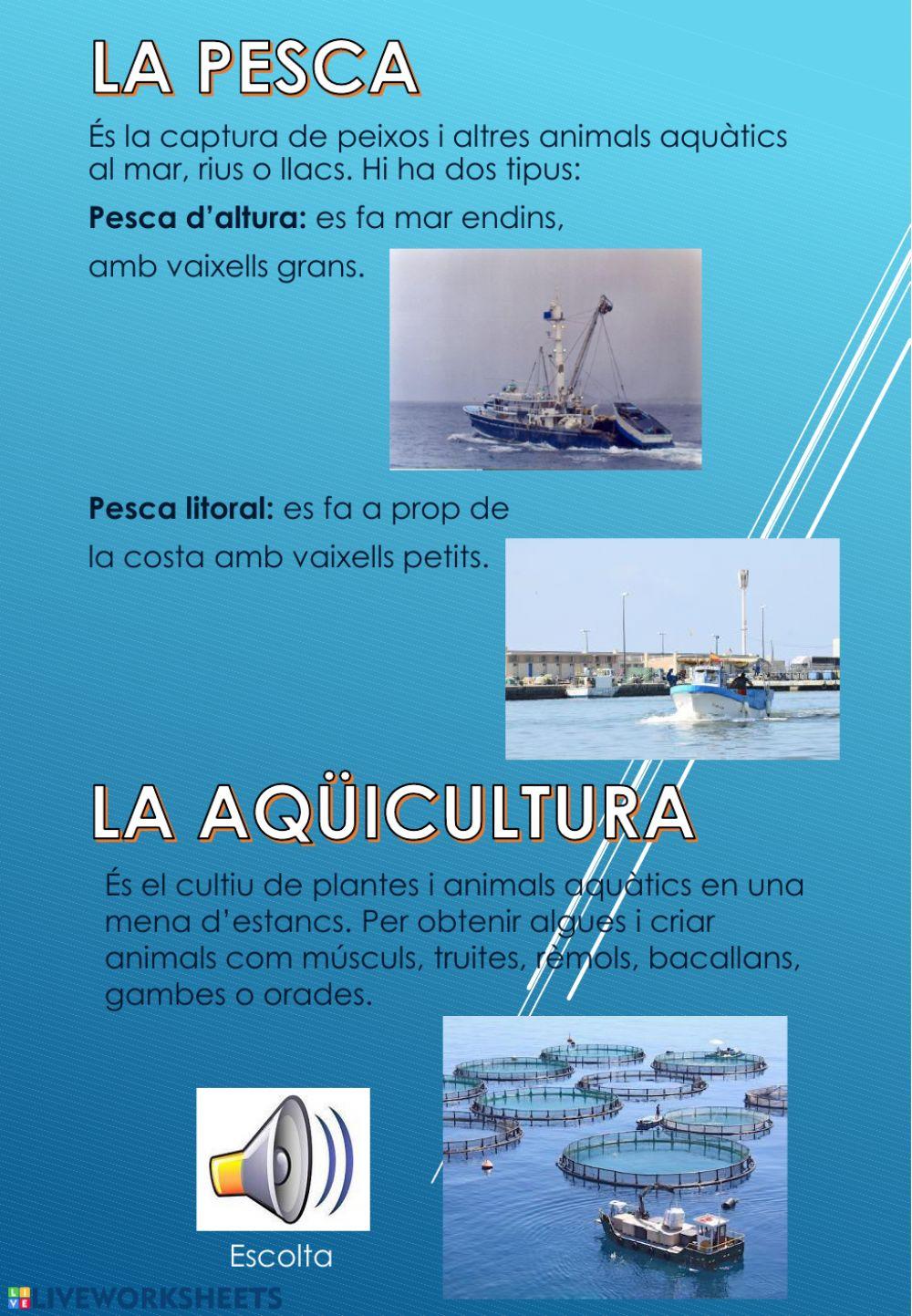 Pesca i Aqüicultura