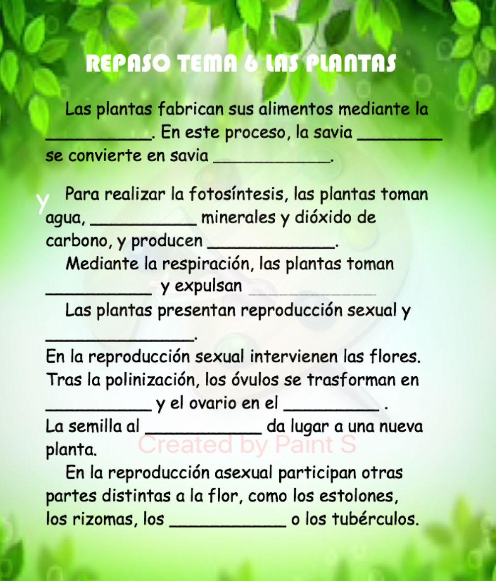 Resumen: Las plantas