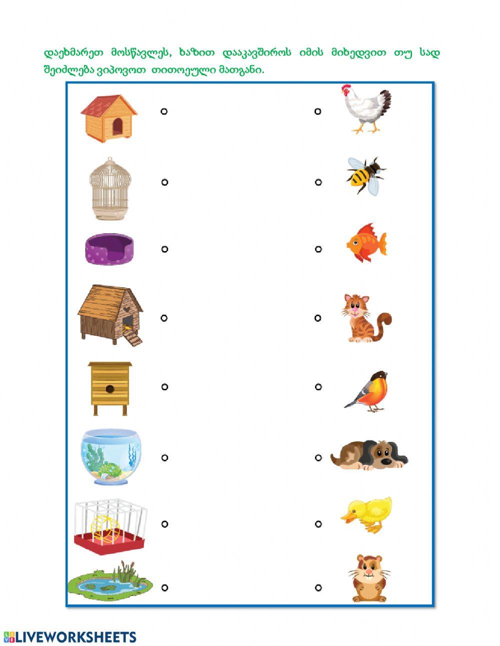 Ჩასვი გამოტოვებული ასო