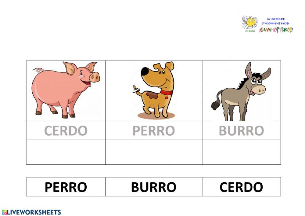 Lectura global animales con apoyo visual