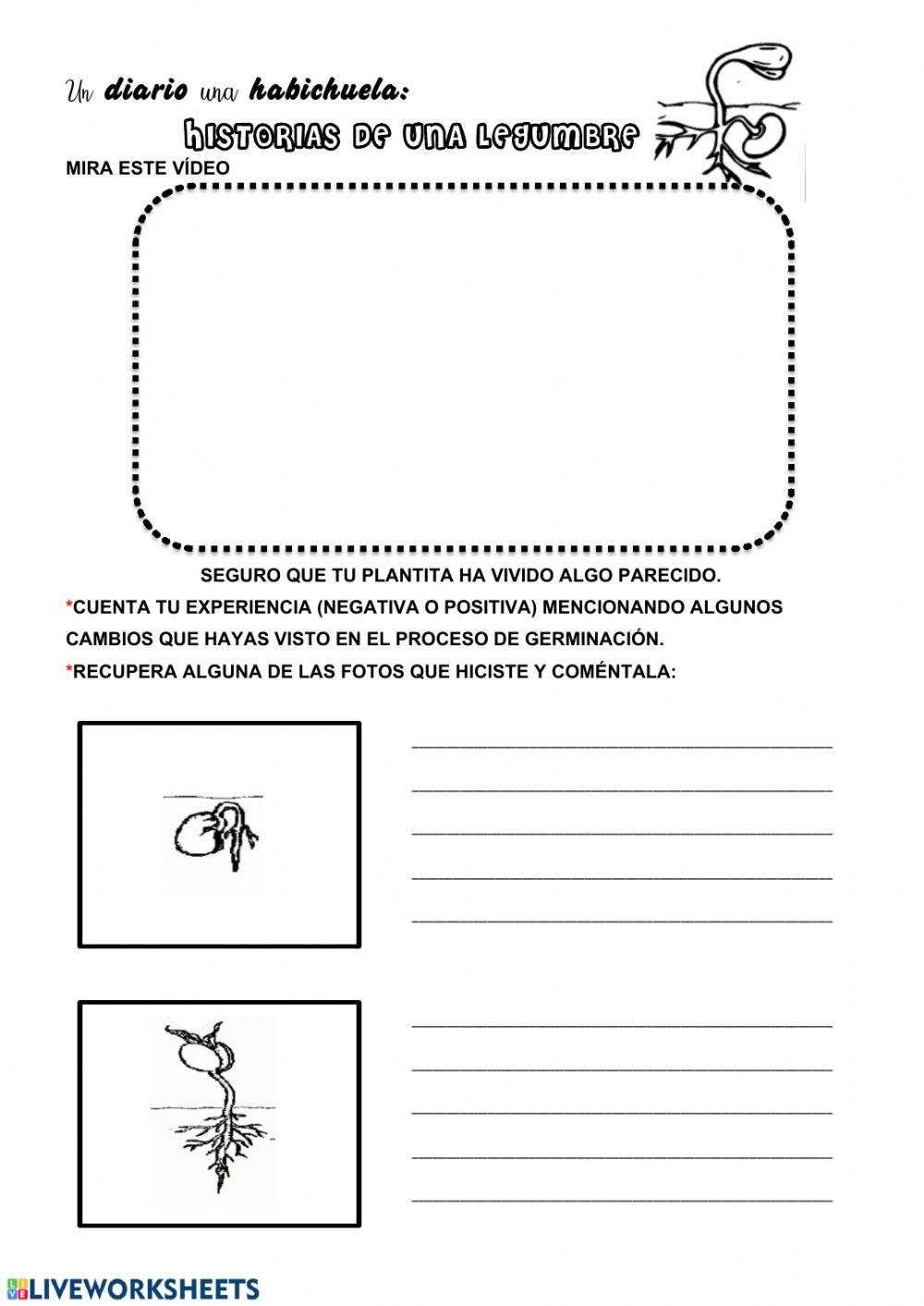 Diario de germinación