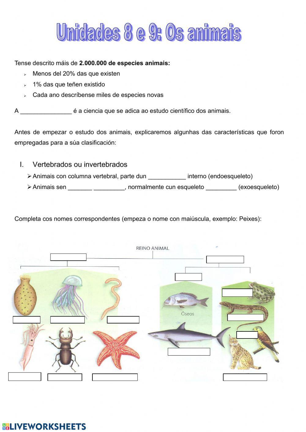 Invertebrados: poríferos, anélidos e cnidarios.