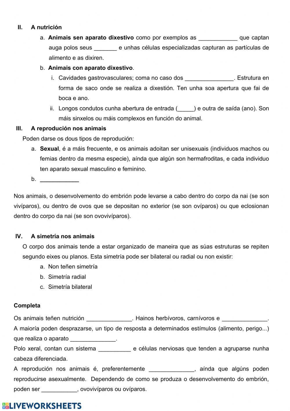 Invertebrados: poríferos, anélidos e cnidarios.