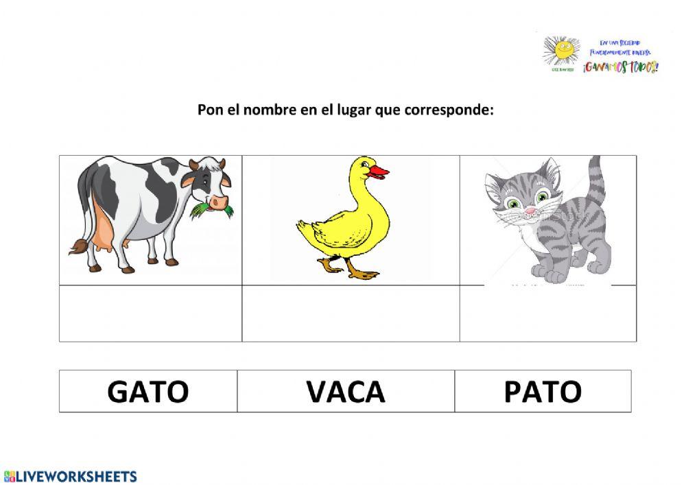 Lectura global animales