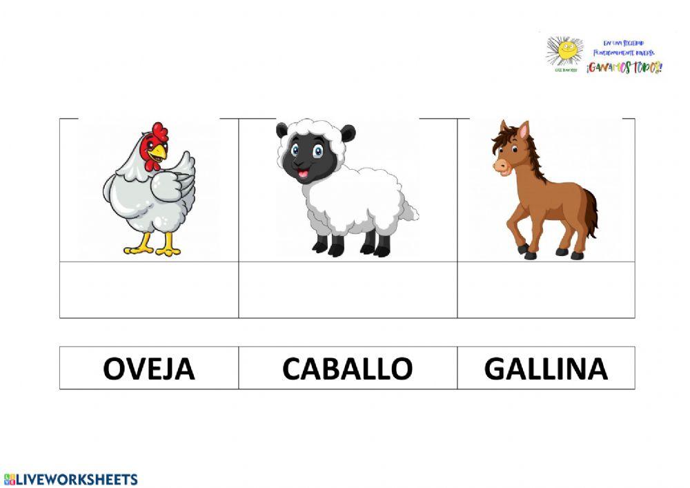 Lectura global animales