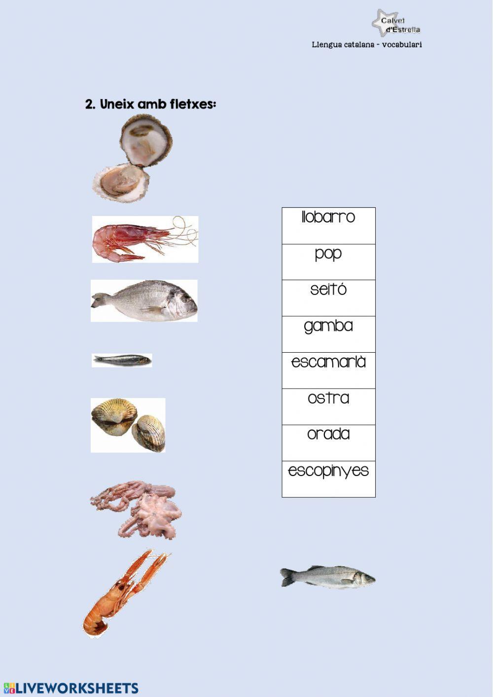 Vocabulari: peix i marisc