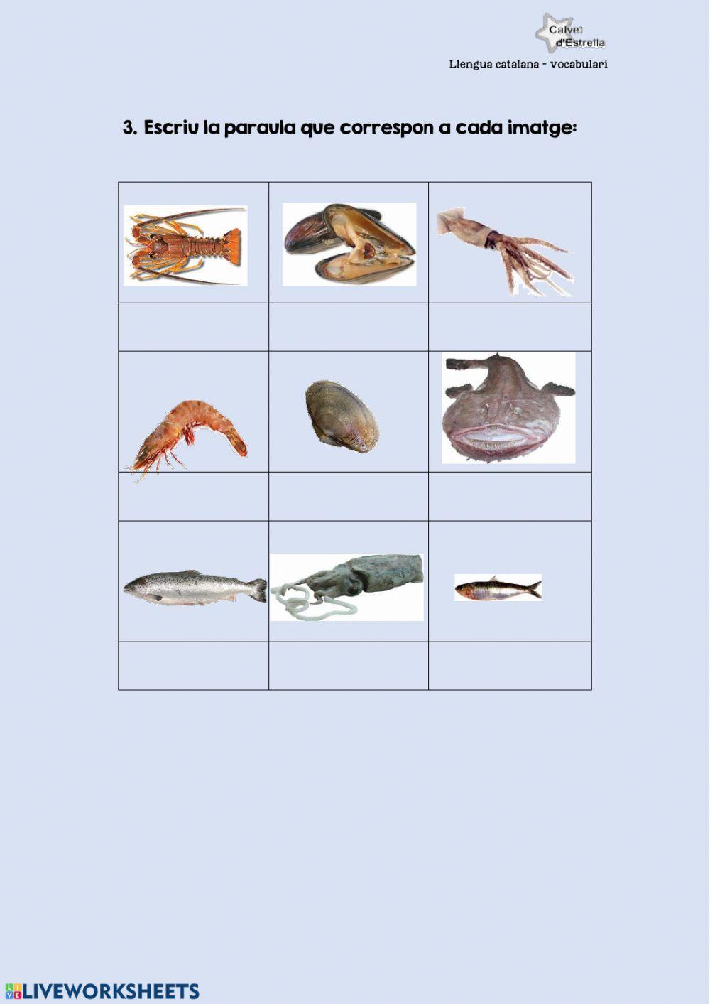 Vocabulari: peix i marisc