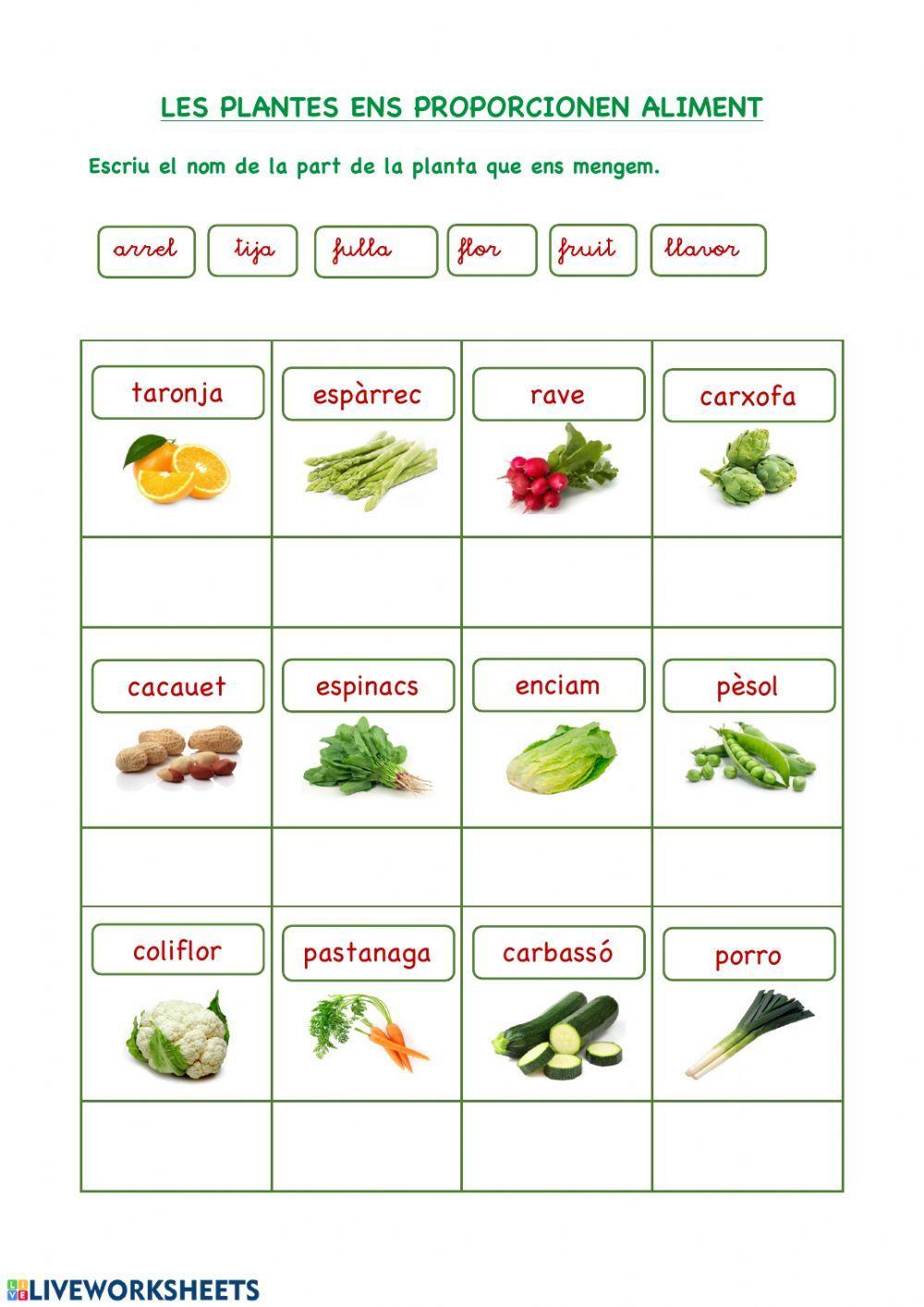 Les plantes ens alimenten