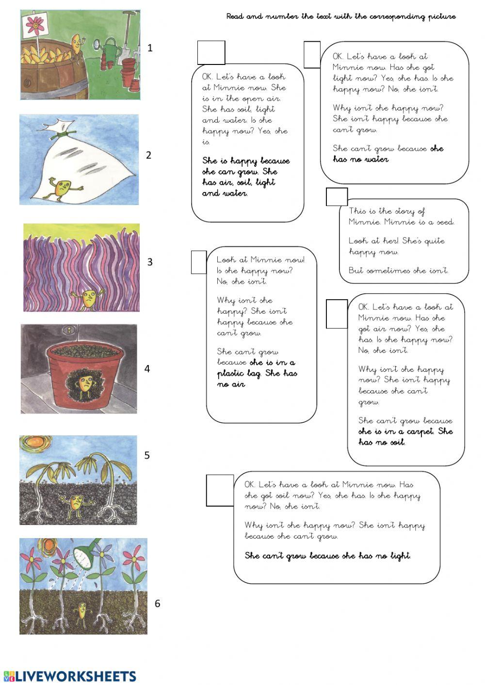 Reading comprehension Minnie the seed