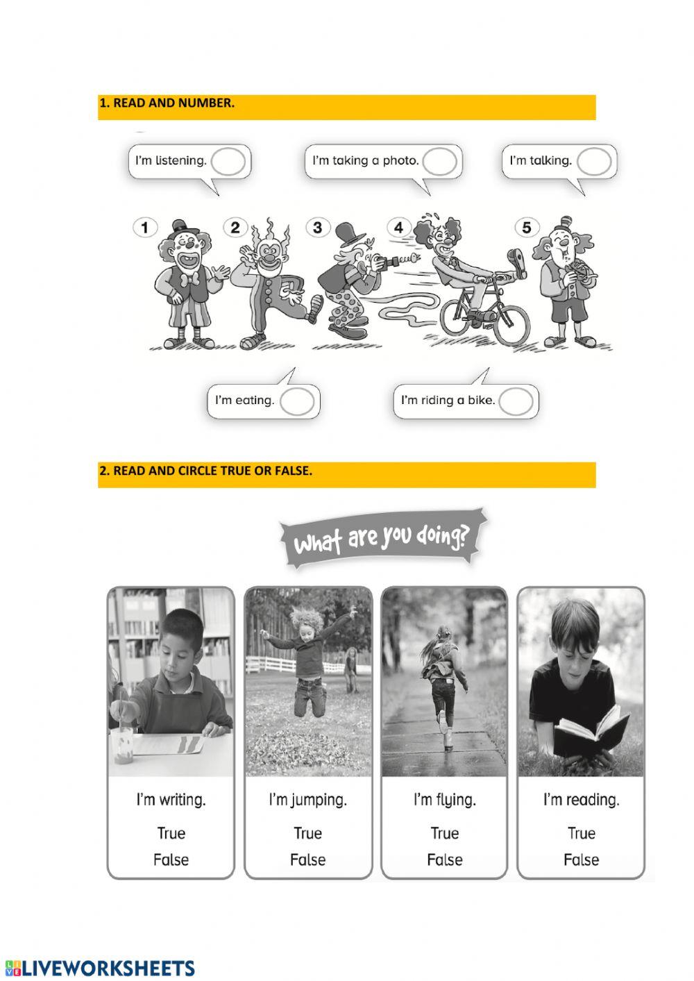 Verbs Verbs