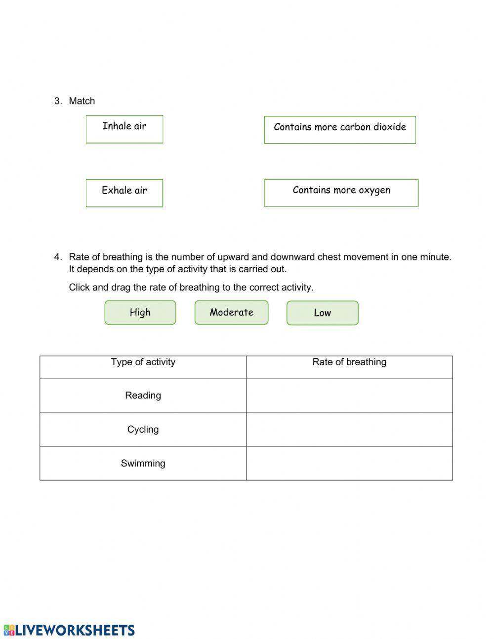 Science Year 4 - Human