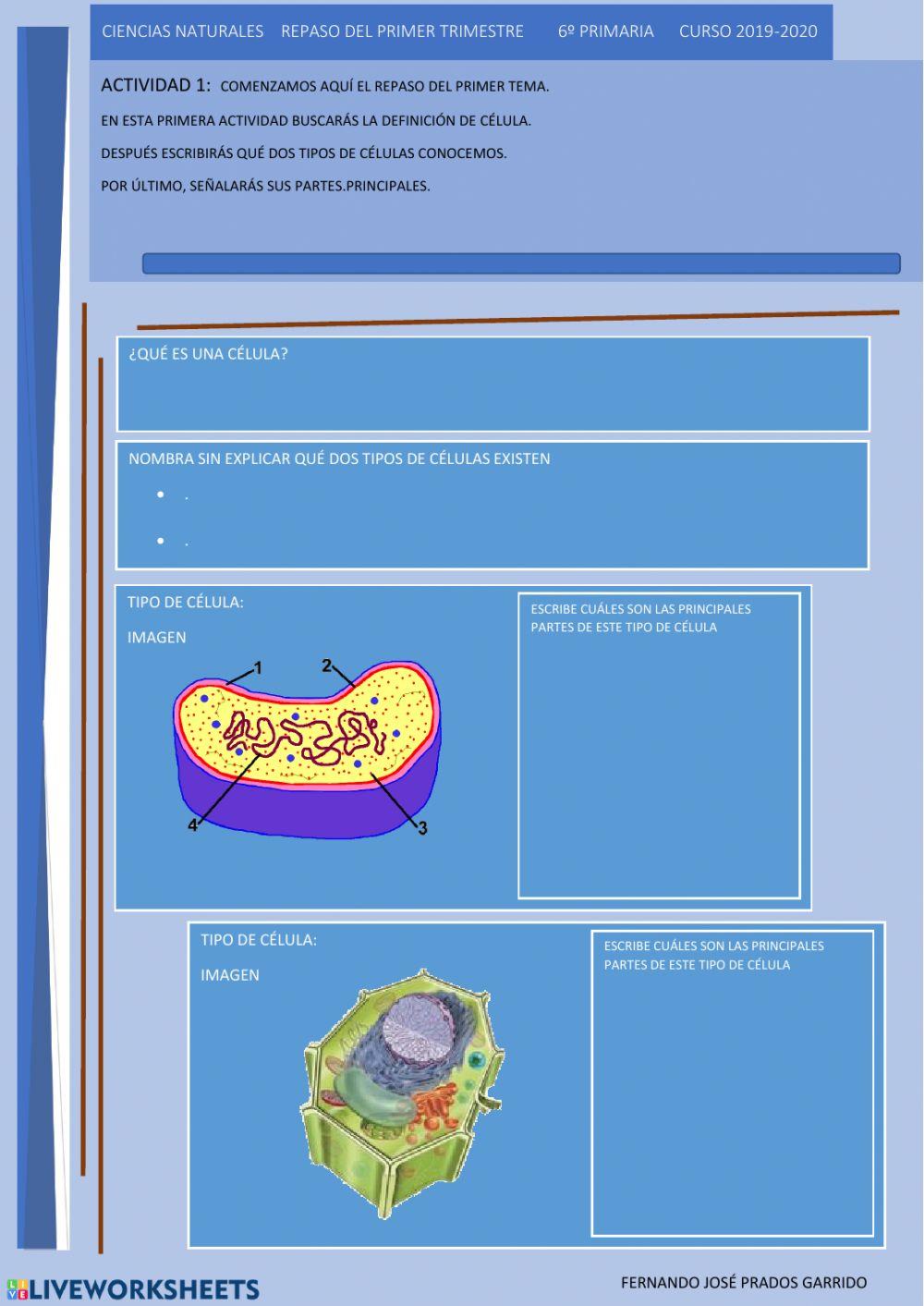 1 naturales repaso La célula