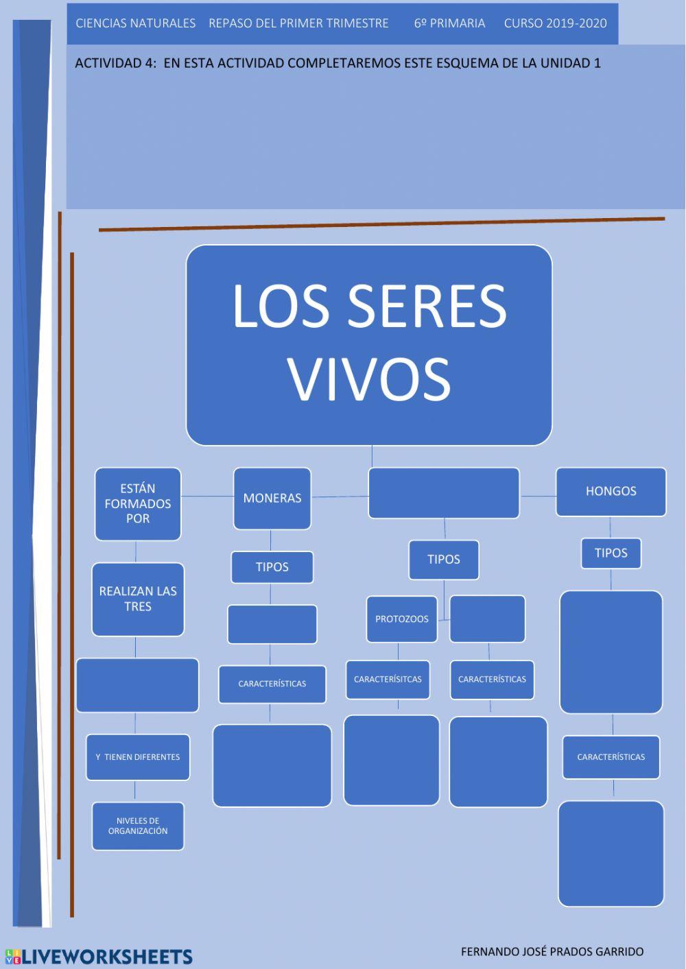 4 repaso naturales Esquema de los seres vivos