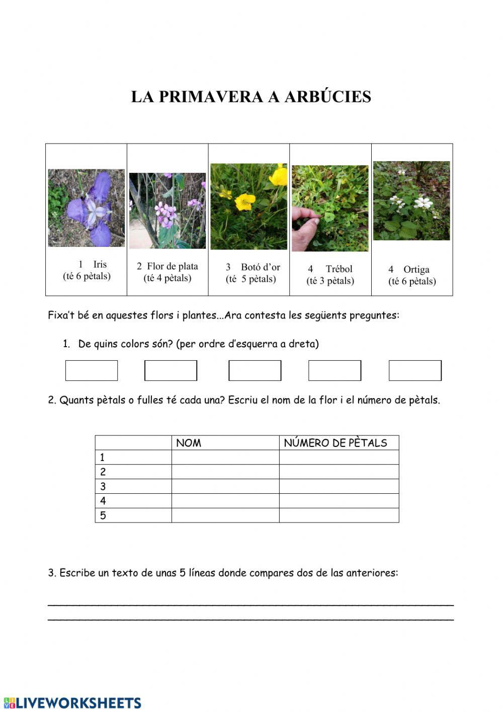 El Montseny a la primavera