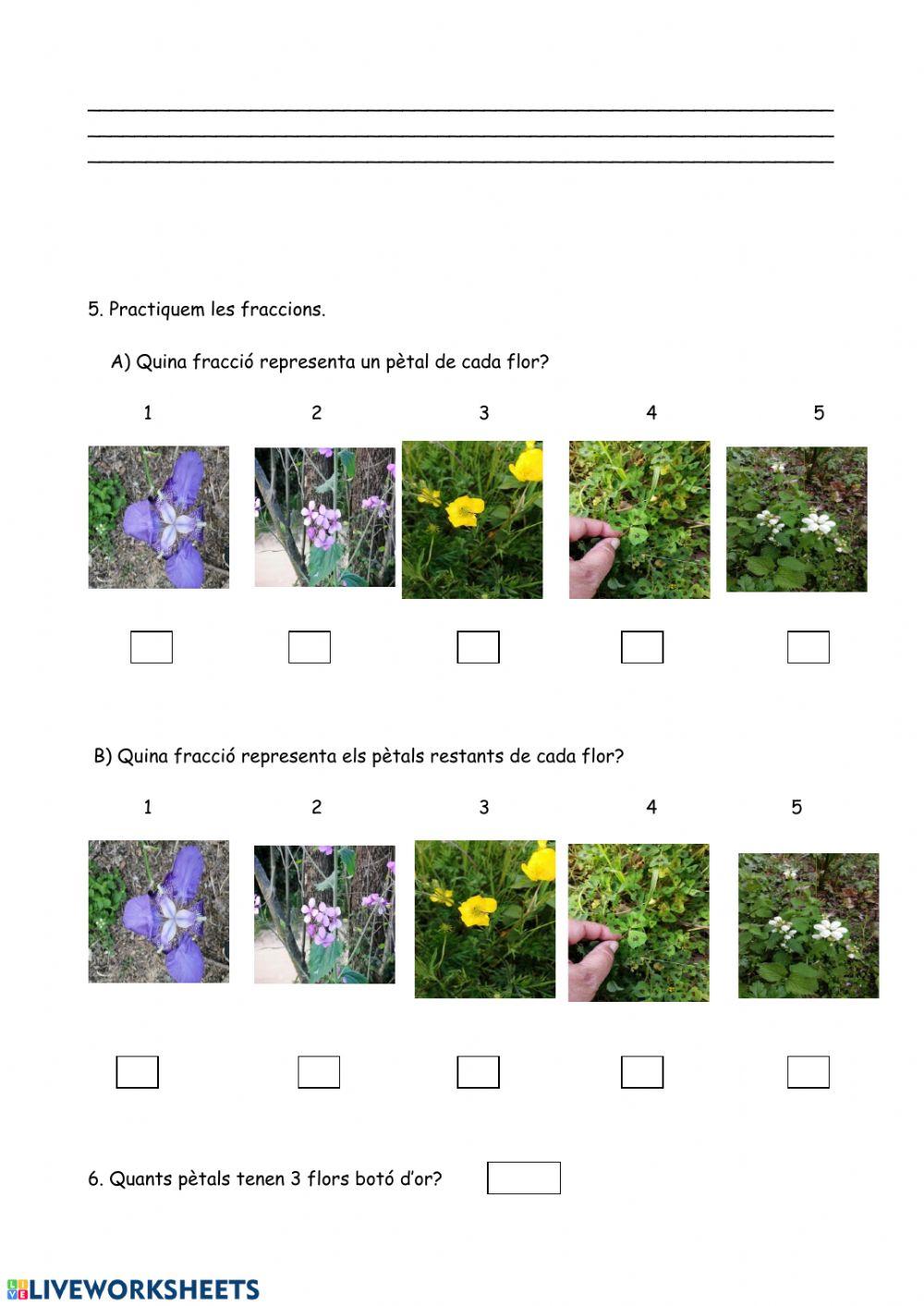 El Montseny a la primavera