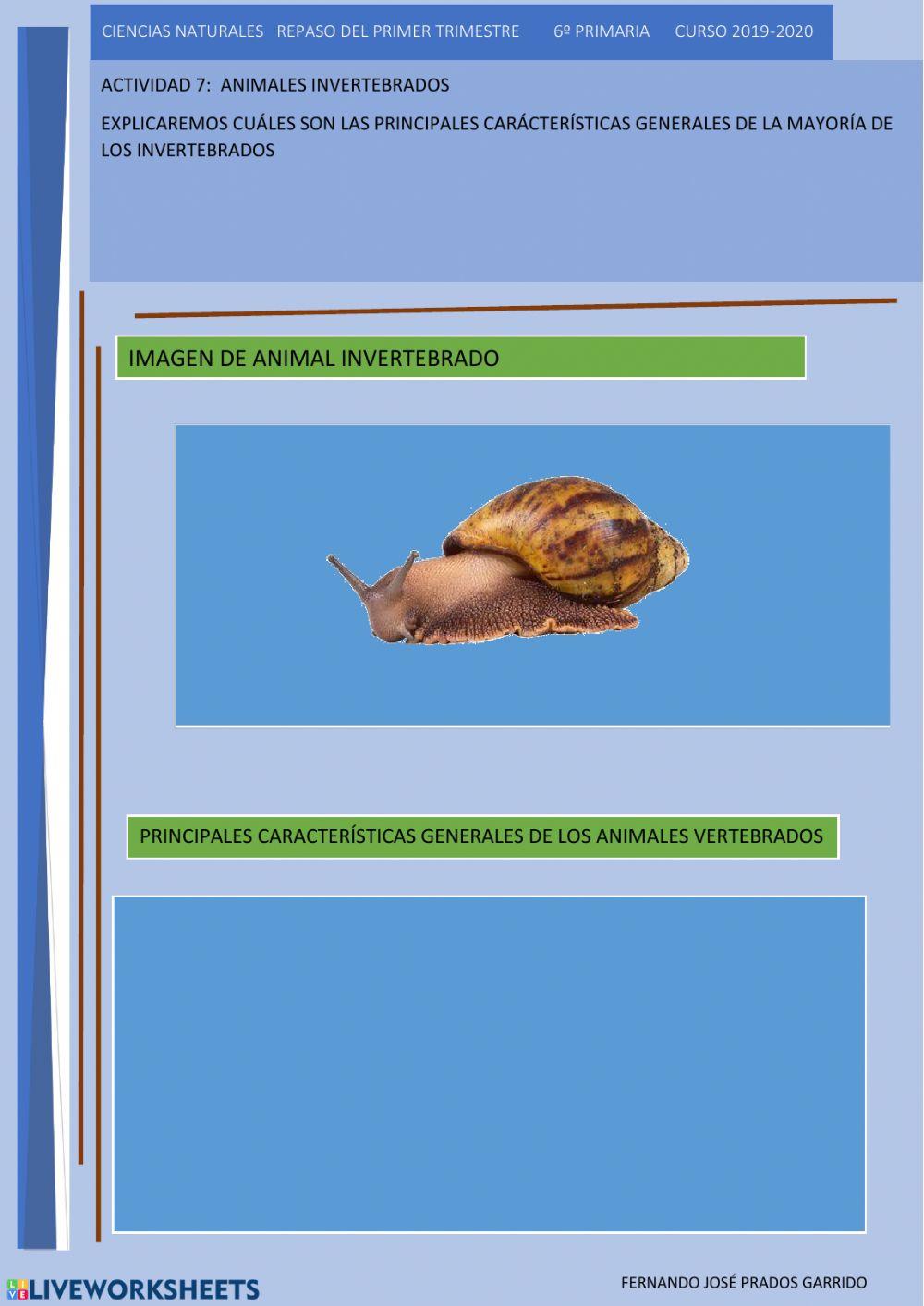 7 repaso naturales Animales invertebrados