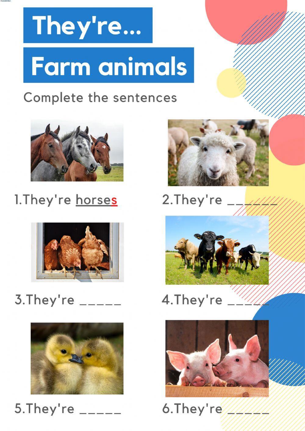 They're - Farm animals