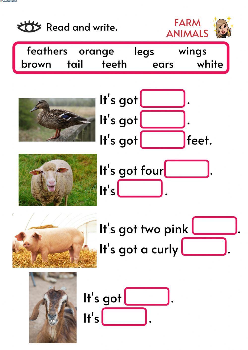 Describing farm animals