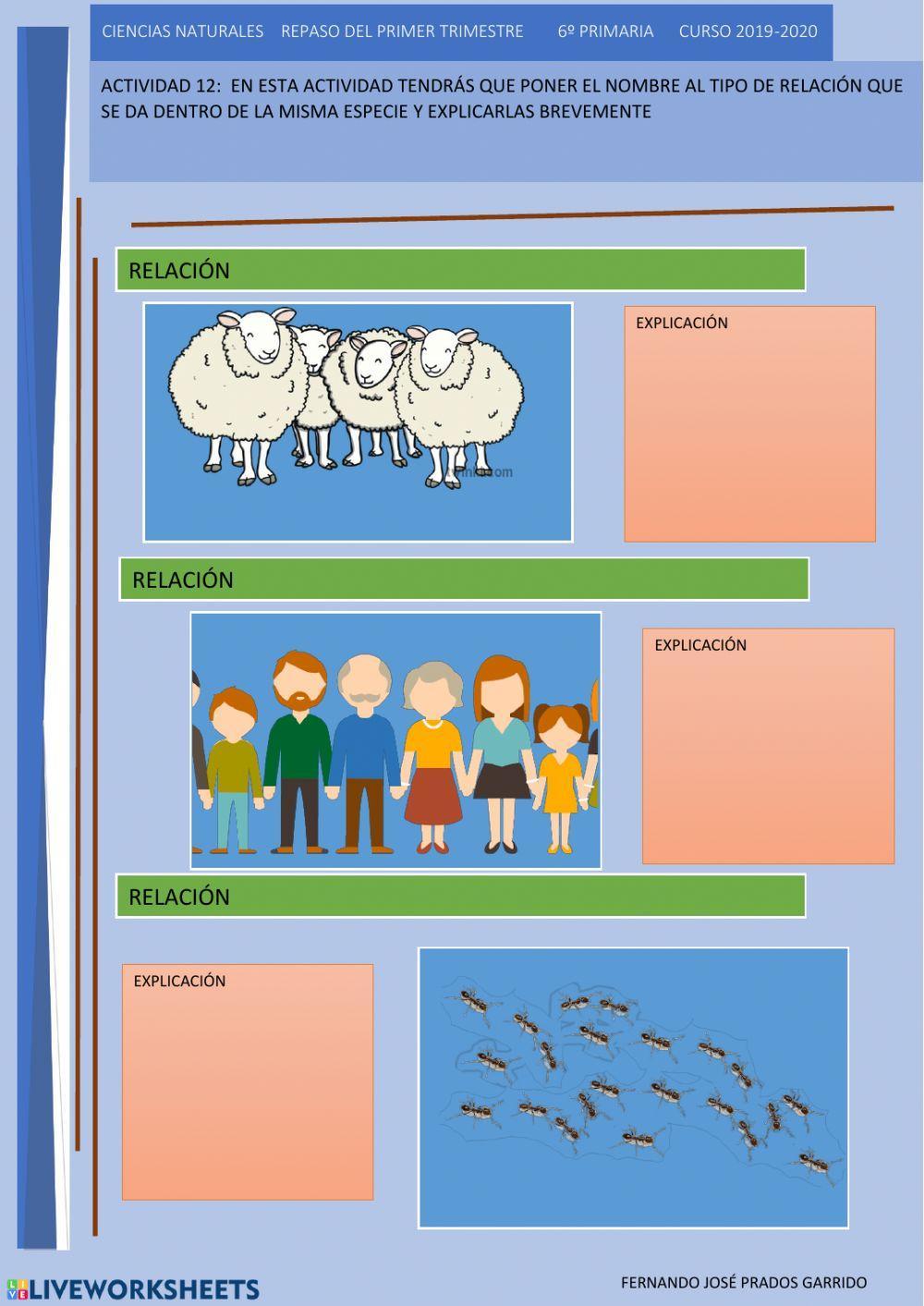 12 repaso naturales Relaciones dentro de la misma especie