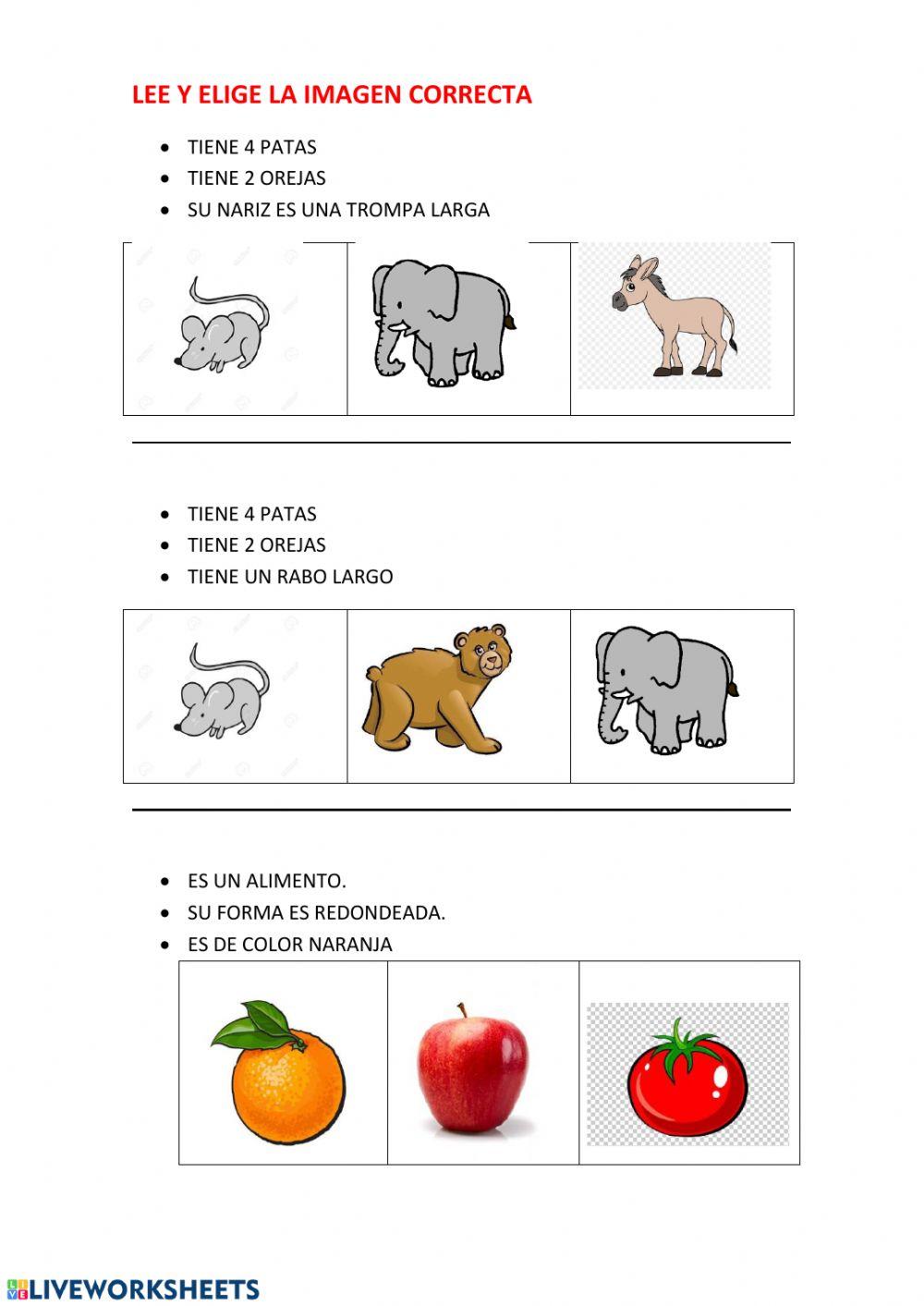 Mira, observa,lee y elige la respuesta correcta