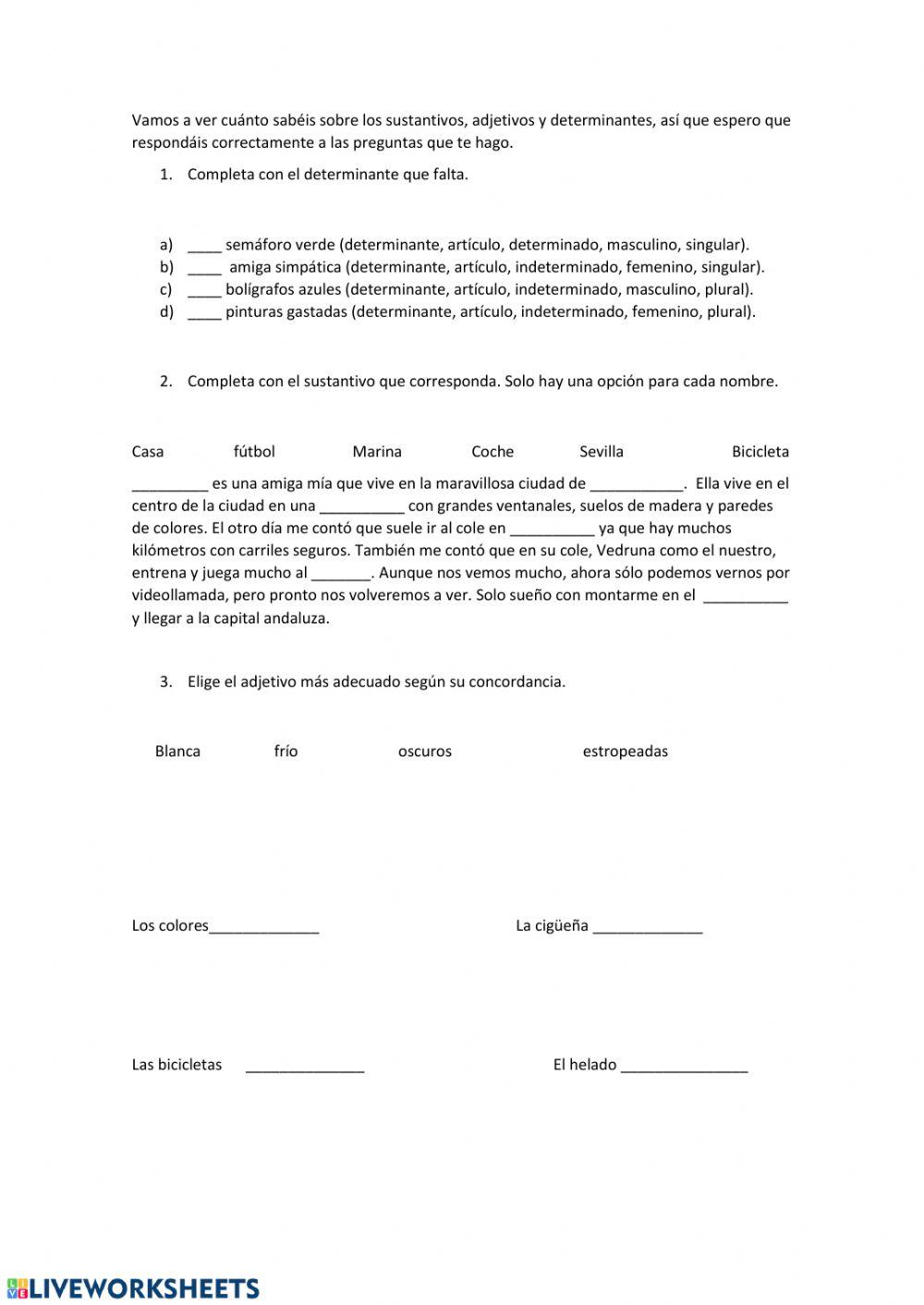 Sustantivos, adjetivos y determinantes