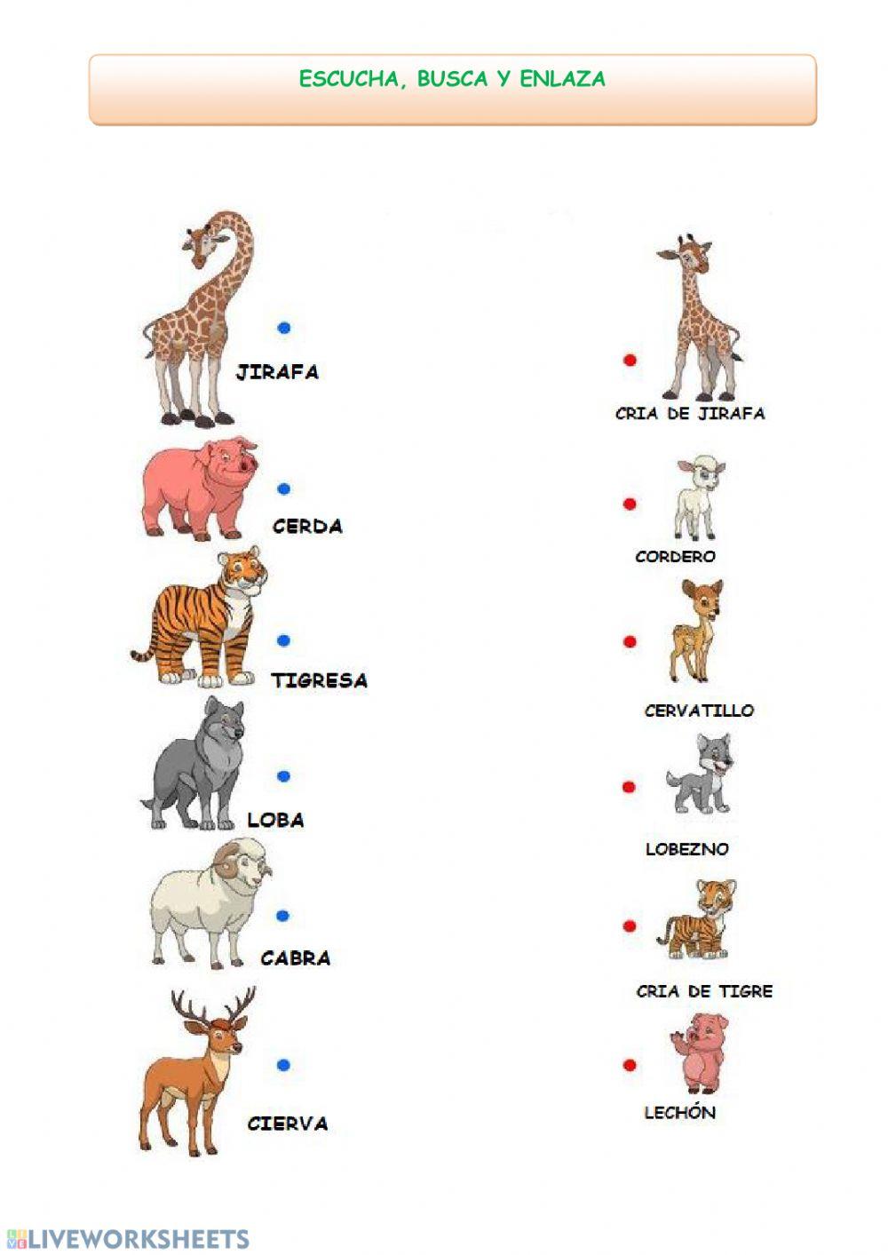 Escucha, busca y enlaza