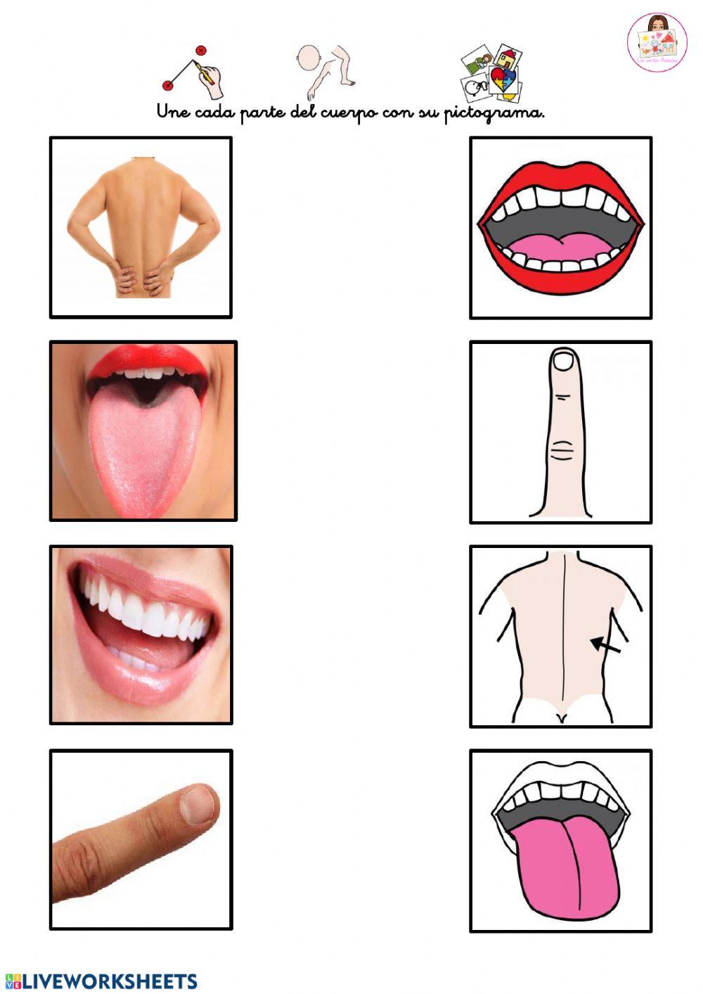 Imagen real - pictograma