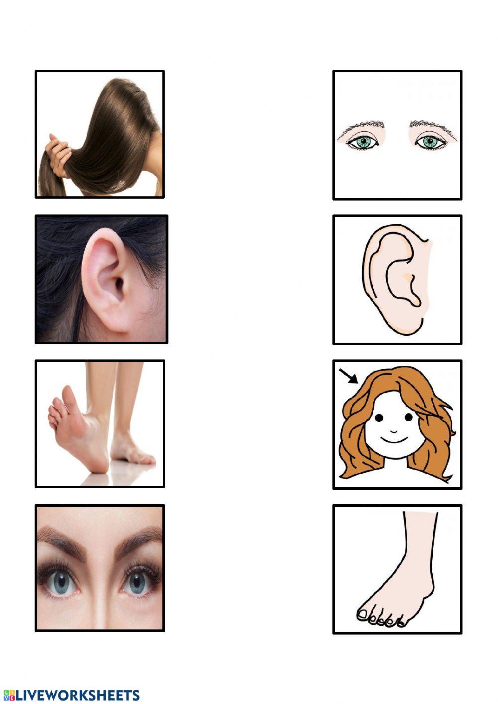 Imagen real - pictograma