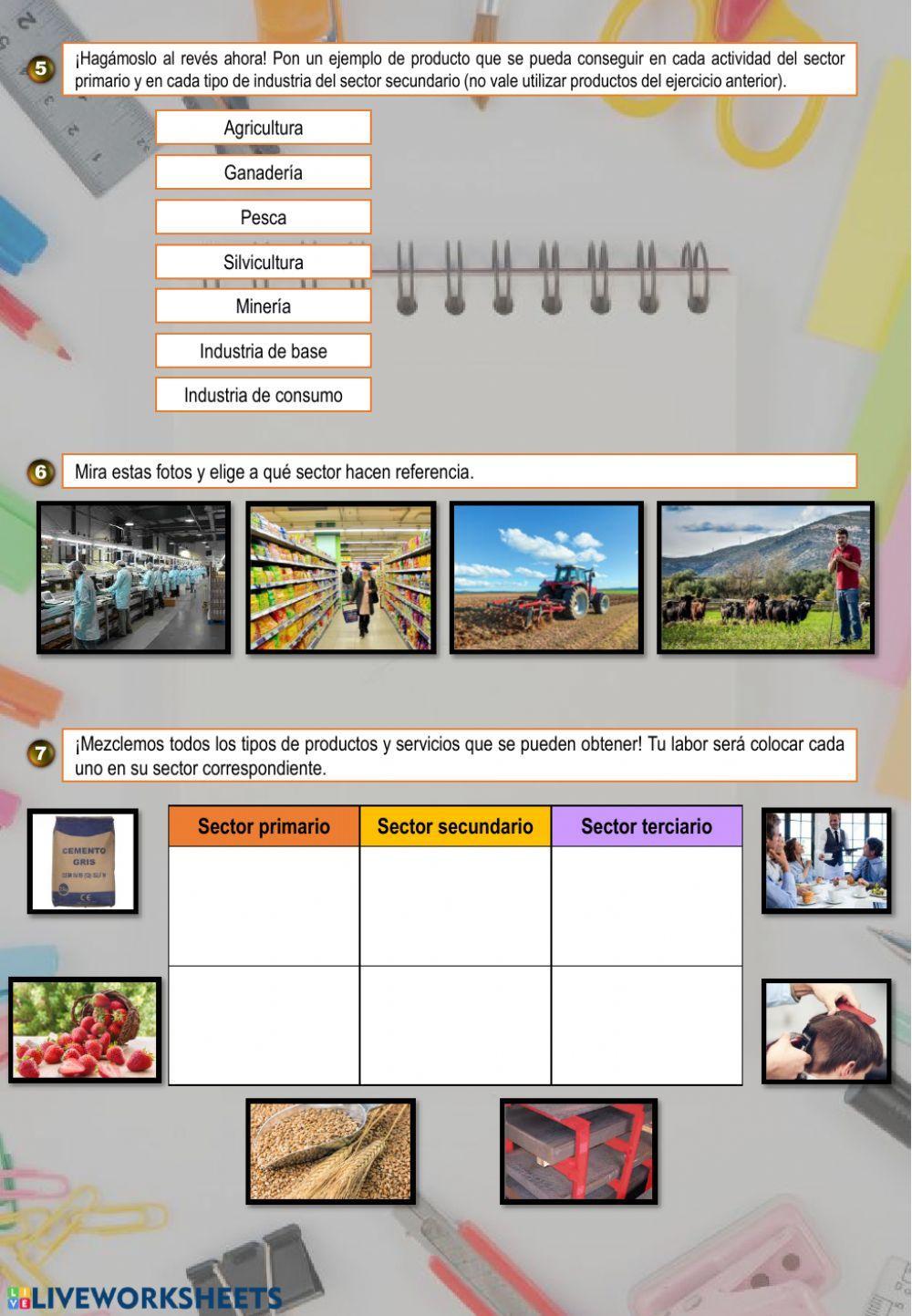 Sectores económicos