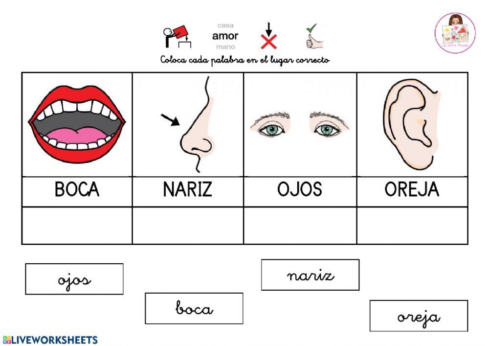 Mayúsculas y minúsculas